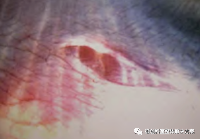 1649658960248759.png image.png