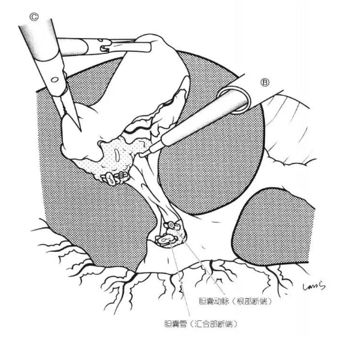 1650440884138866.png image.png