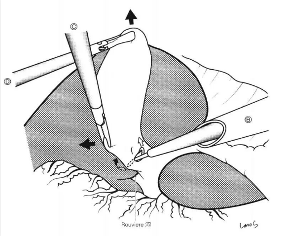 1650444331130611.png image.png
