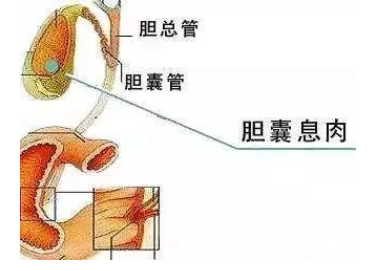 1650445887214636.png image.png