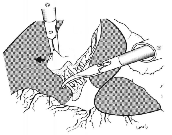 1650446103132443.png image.png