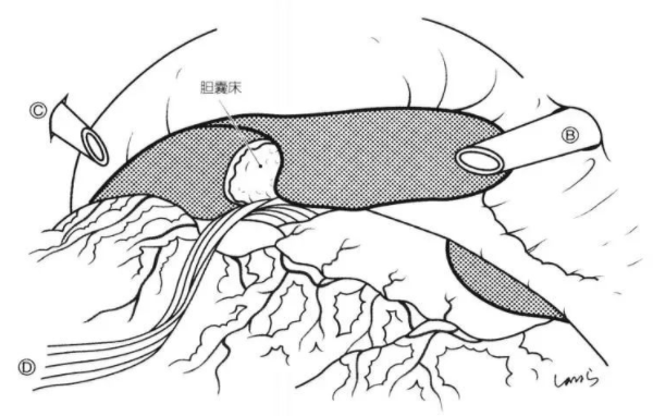 1650446279452756.png image.png