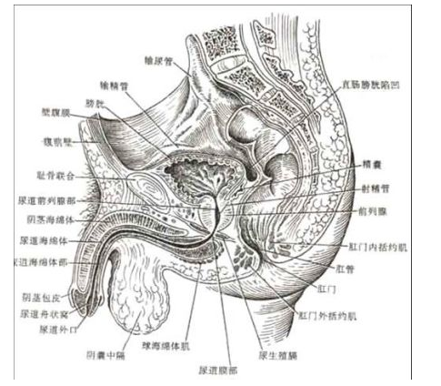 1650609371910572.png image.png