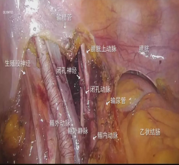 1650609458203465.png image.png